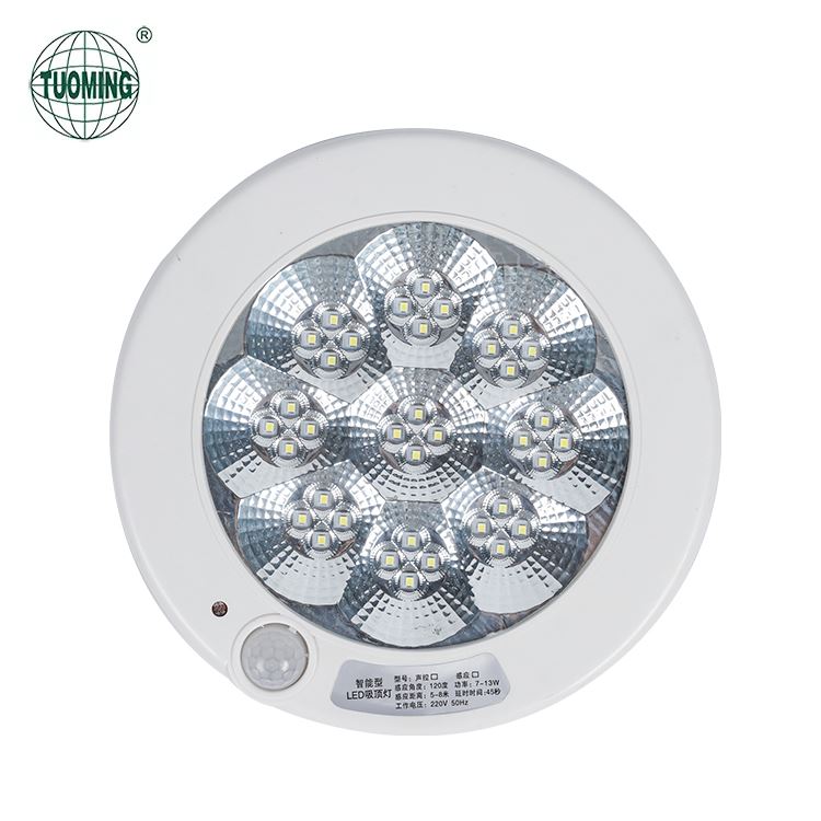 Led Emergency Ceiling Light